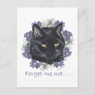 Cartão Postal Gato Preto de Pelo Curto Não-Me-Toque
