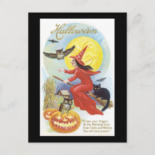 Cartão Postal Gato Preto do Halloween, Bruxa e Coruja