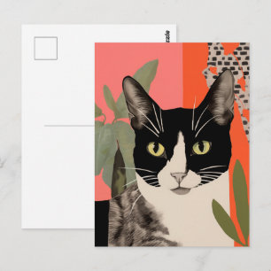 Cartão Postal Gato Preto e Branco