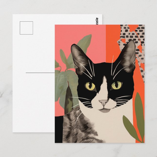 Cartão Postal Gato Preto e Branco (Frente/Verso)