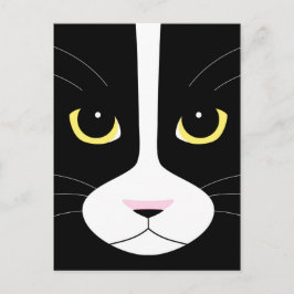 Cartão Postal Gato Preto e Branco