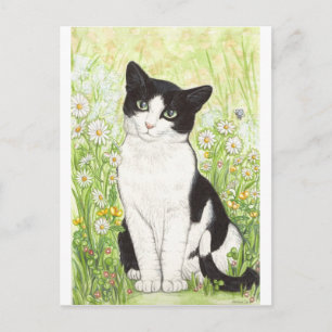 Cartão Postal Gato preto e branco com margarida