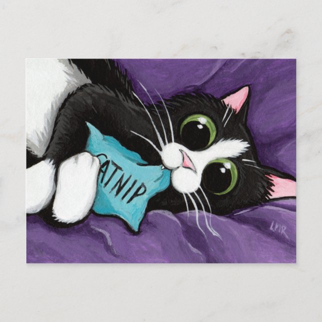 Cartão Postal Gato Preto e Branco com Travesseiro Catnil - Arte  (Frente)