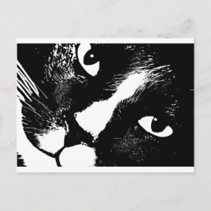 Cartão Postal Gato preto e branco se aproxima