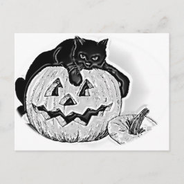 Cartão Postal Gato Preto e Maluco de Abóbora
