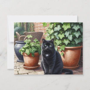 Cartão Postal Gato Preto em Pentes de Gato de Jardim