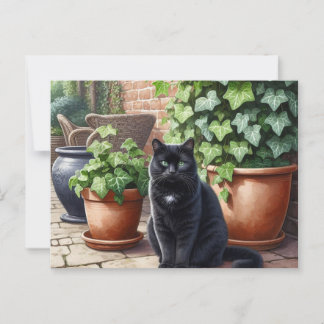 Cartão Postal Gato Preto em Pentes de Gato de Jardim
