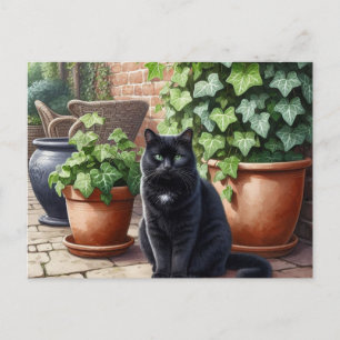 Cartão Postal Gato Preto em Pentes de Gato de Jardim