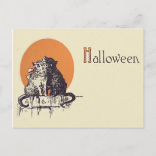 Cartão Postal Gato Preto Gato Branco Romance Lua Cheia