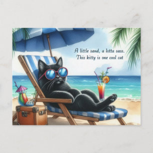 Cartão Postal Gato Preto Legal na Praia