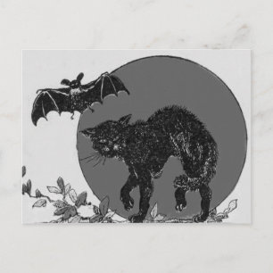 Cartão Postal Gato Preto Monocromático Morcego Lua Cheia