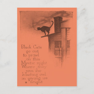 Cartão Postal Gato Preto no Telhado Lua Cheia