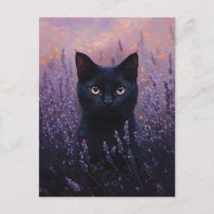 Cartão Postal Gato Preto numa Ilustração de Campo de Lavanda