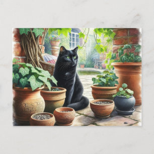 Cartão Postal Gato Preto Observando Catnip Crescer Fofo 