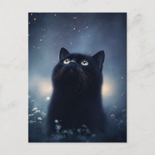 Cartão Postal Gato Preto Olhando para Cima em Direção ao Céu Not