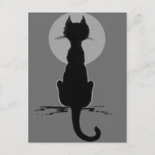 Cartão Postal Gato Preto Preto e Branco Monocromático Lua Cheia