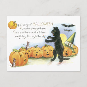 Cartão Postal Gato Preto Regendo a Jack O' Lantern Coral de Hall