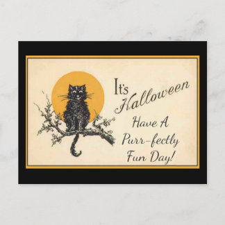 Cartão Postal Gato Preto Vintage
