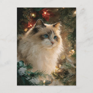 Cartão Postal Gato Ragdoll Natal