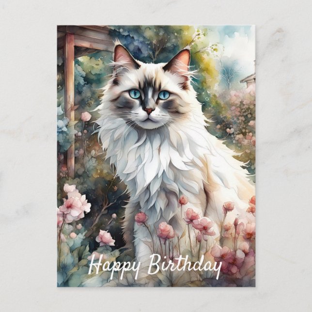 Cartão Postal Gato Ragdoll no Jardim Inglês de Aniversário (Frente)