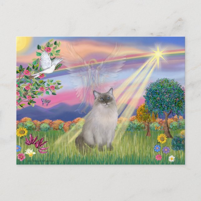 Cartão Postal Gato Ragdoll (Ponto Azul) - Anjo das Nuvens (Frente)