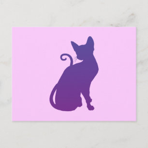 Cartão Postal Gato Rosa e Roxo