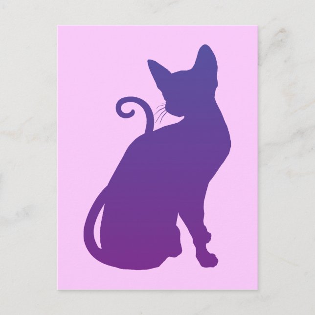 Cartão Postal Gato Roxo (Frente)
