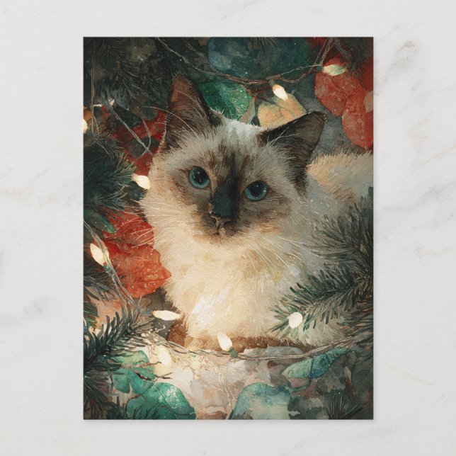 Cartão Postal Gato Siamês de Natal (Frente)