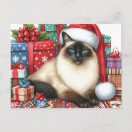 Cartão Postal Gato Siamês de Natal Festa de Natal 