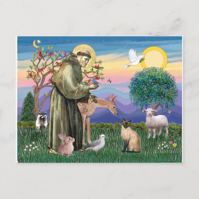 Cartão Postal Gato Siames e São Francisco (Frente)