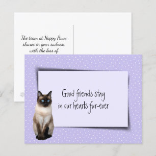 Cartão Postal Gato Siamês Perda de Animal de Estimação pelo Vete