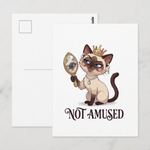 Cartão Postal Gato Siames Real Não Divertido