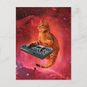 Cartão Postal Gato sintetizador no espaço vermelho