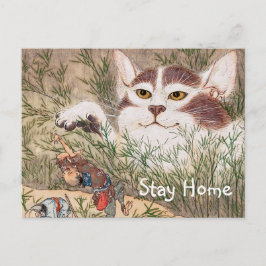 Cartão Postal Gato sobrenatural
