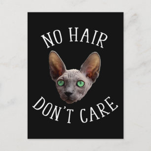 Cartão Postal Gato Sphynx Engraçado Sem Cabelo Não Me Importo