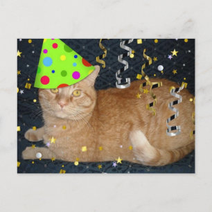 Cartão Postal Gato Tabby Laranja festa de aniversário