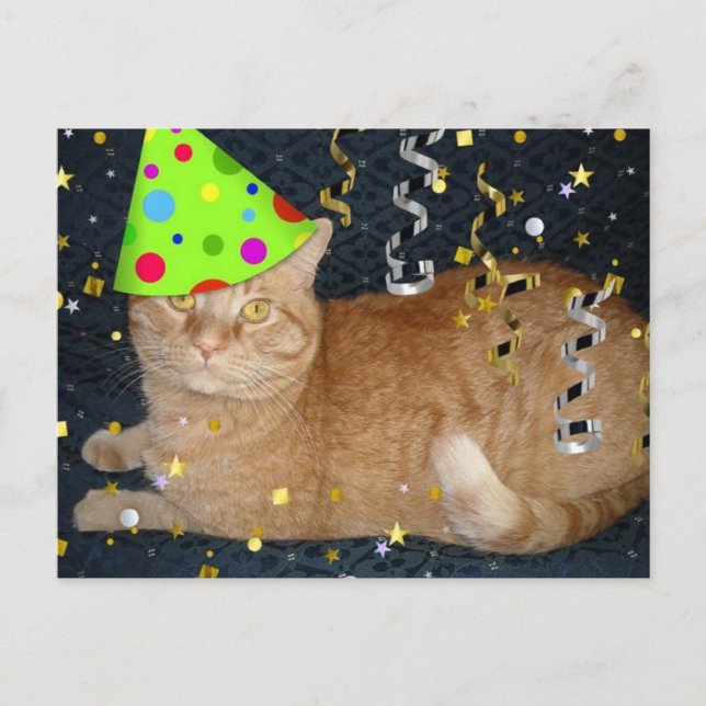 Cartão Postal Gato Tabby Laranja festa de aniversário (Frente)