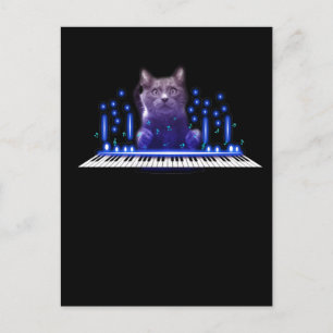 Cartão Postal Gato Tocando Piano Teclado Gatinho Fofo Pet