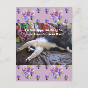 Cartão Postal Gato Tuxedo Engraçado Fofo fazendo uma Onda Mexica