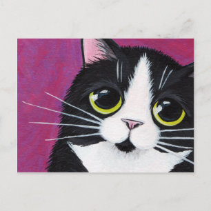 Cartão Postal Gato Tuxedo Kitty em Postcard Rosa