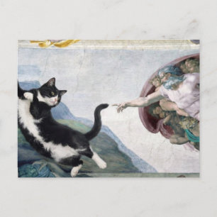 Cartão Postal Gato Tuxedo Tocando a Pata Divina                