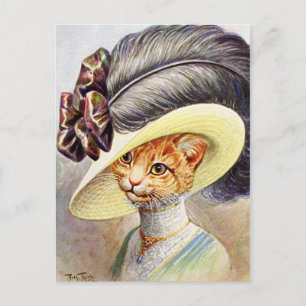 Cartão Postal Gato Usando Chapéu de Pena