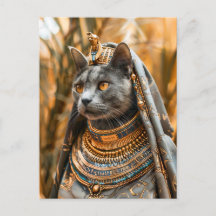 Gato vestido como Rainha Faraó