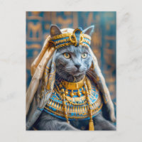 Gato vestido como Rainha Faraó