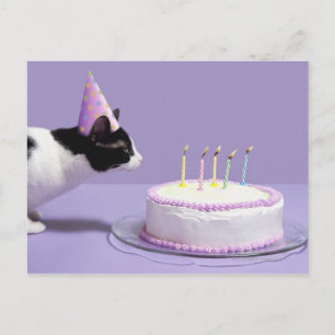 Cartão Postal Gato vestindo chapéu de aniversário soprando velas