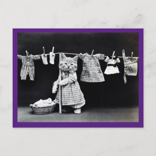 Cartão Postal Gato Vitoriano, Vintage, Cartão-postal de Arte Ga