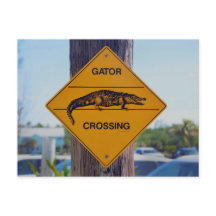 Gator Crossing Sign, Impressão de Foto da Flórida