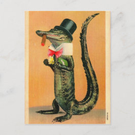 Cartão Postal Gator de chapéu superior