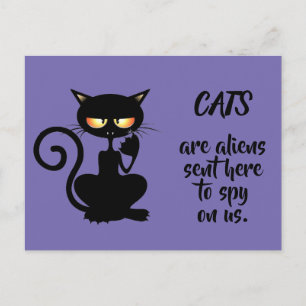 Cartão Postal gatos