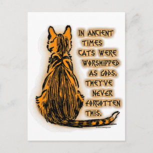Cartão Postal Gatos adorados como deuses